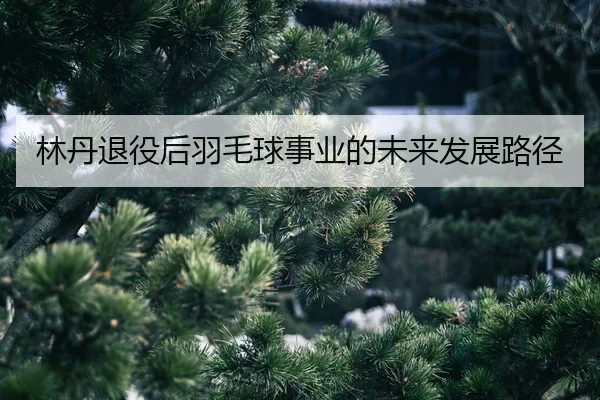 lin-dan-tui-yi-hou-yu-mao-qiu-shi-ye-de-wei-lai-fa-zhan-lu-jing-2-221.jpg