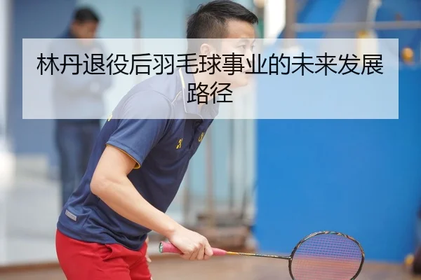 林丹退役后羽毛球事业的未来发展路径
